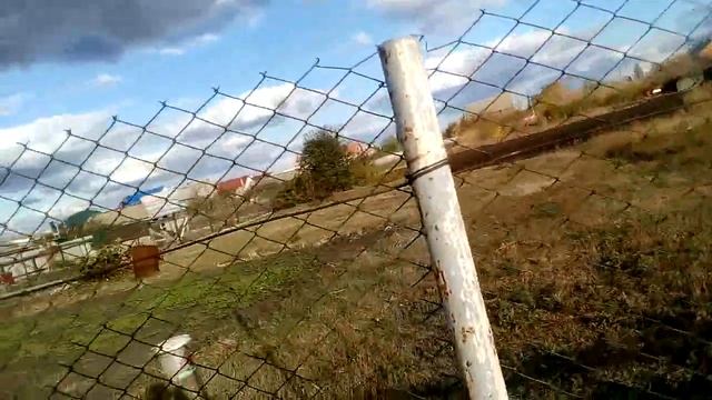 Сажаем чеснок смотреть онлайн