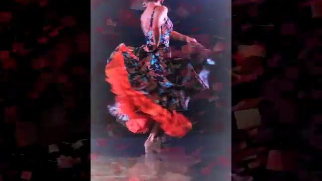 Flamenco A ROMA Dal 1982