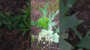 1000023722.mp408.03.2024г.