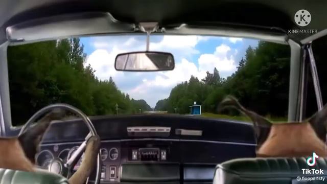 сериал про шлёпу «сбежавший﹥ смотреть онлайн