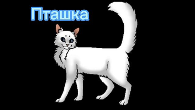 Коты Снежного племени (воины, оруженосцы, королевы и котята, старейшины) смотреть онлайн