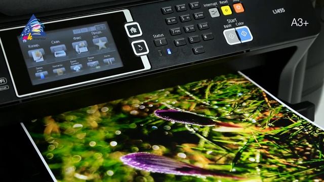 Обзор МФУ Epson L1455 смотреть онлайн
