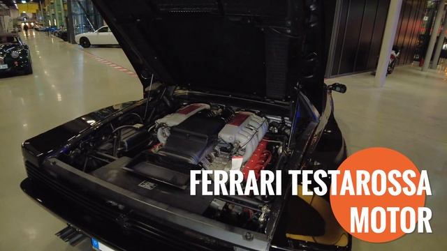 Ferrrai Testarossa (1988) V12- Das Kult-Auto aus Miami Vice in schwarz! I Krieg Classic Cars смотреть онлайн