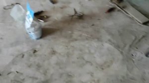 ? дом из пенопласта! РУХНУЛИ ли стены! ?  обзор!