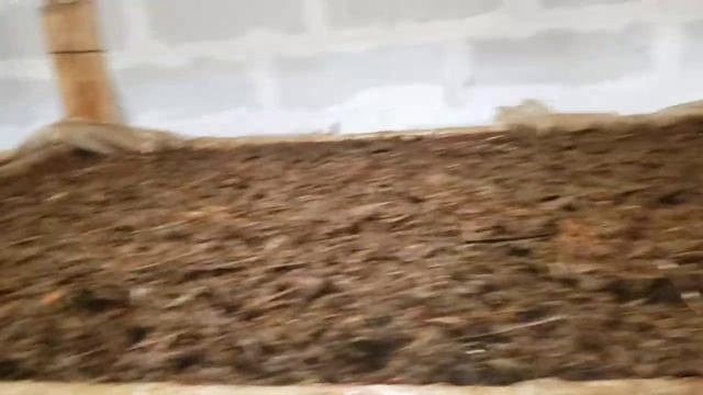 Дополнительный заработок при разведении червей для рыбалки.mp4 смотреть онлайн