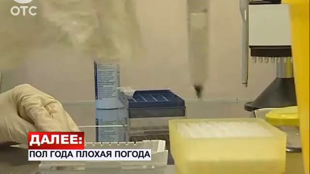 В Новосибирской области два человека скончались после укуса клеща смотреть онлайн