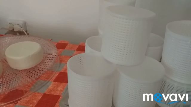 МОЙ ПЛАН! ЧТО БУДУ ДЕЛАТЬ? смотреть онлайн