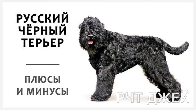 Турецкий марш для гитары ( Минусовка ) 180 BPM смотреть онлайн