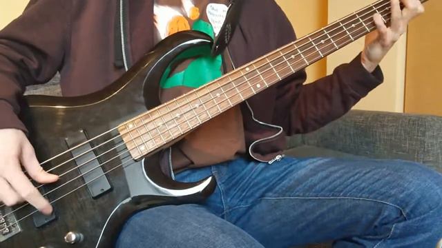 Arctic Monkeys - When the sun goes down (Bass Cover) смотреть онлайн
