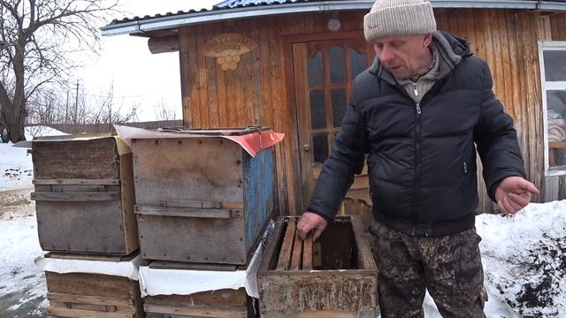 КАК ЗАВЕСТИ ПЧЁЛ, ЛОВЛЯ БРОДЯЧИХ РОЁВ В ЛОВУШКИ, СЕКРЕТЫ СТАРОГО РОЕЛОВА смотреть онлайн