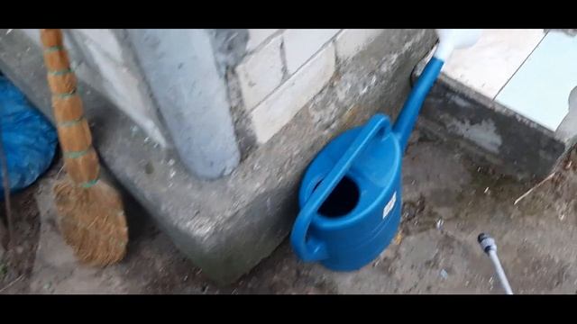 Как избавиться от двухвосток