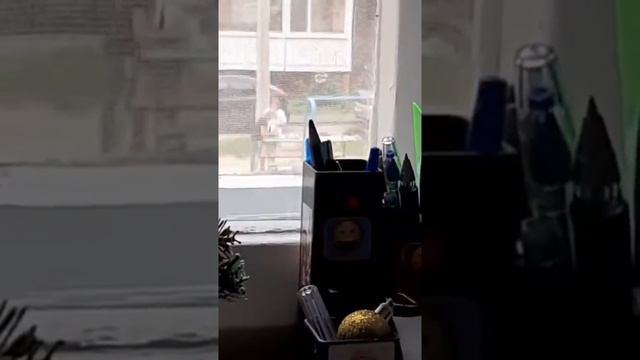 Тик токерши нереальный флекс шок смотреть онлайн