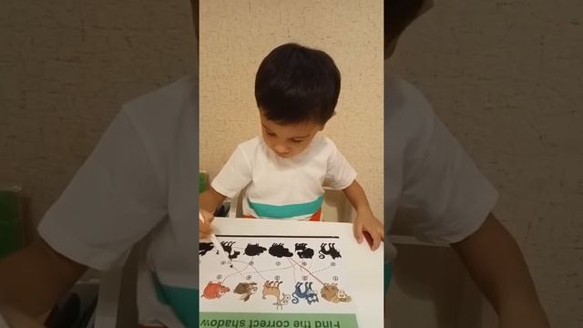 Изучаем тени животных ? смотреть онлайн