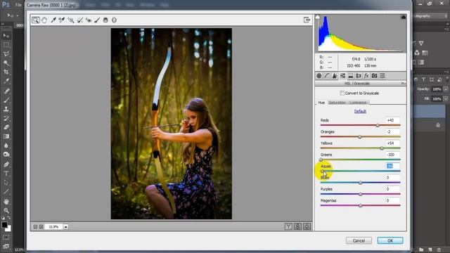 How To Edit Forest Photography Photo Color Grading Tutorial Photoshop 2021