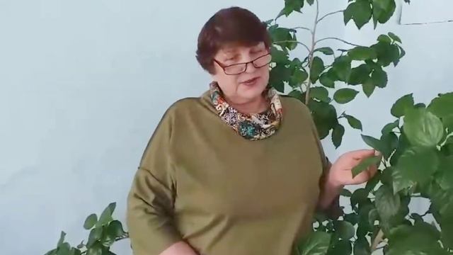 "Поговори со мною, мама" Поет Марина Васюткина смотреть онлайн