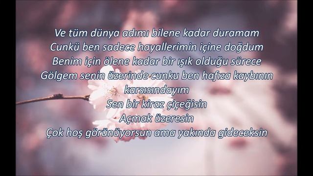 Fall_Out_Boy_-_Centuries_ Türkçe ceviri смотреть онлайн
