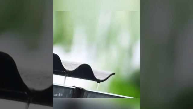 Жамгир токту cover Бурихужаева Гулия смотреть онлайн