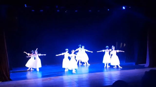 Chopiniana / Les Sylphides - Studio Regina Célia смотреть онлайн