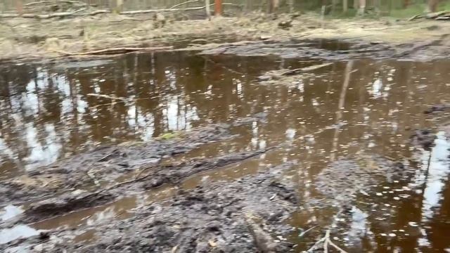 Маршрут к мосту-призраку смотреть онлайн