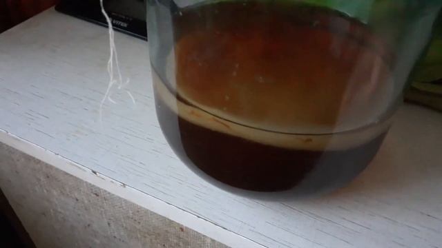 Чайный грибок опускается на дно,в чем причина??! смотреть онлайн