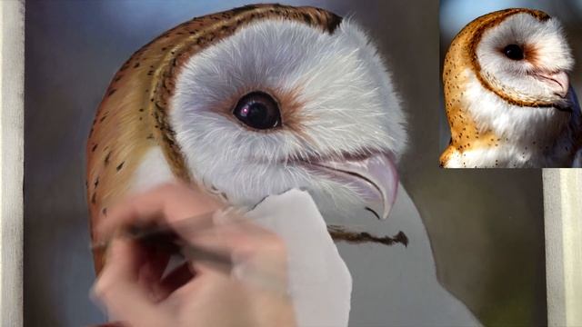 BARN OWL drawing with Pastel Pencils! Achieving photorealism смотреть онлайн