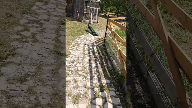 11мая 2022 год на рабалке, турбаза Ступинская смотреть онлайн