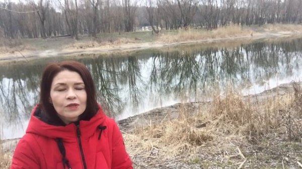 Pinterest. Почему новые пины и доски не видны на Пинтерест