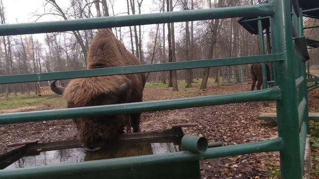 Приокско-терассный заповедник смотреть онлайн
