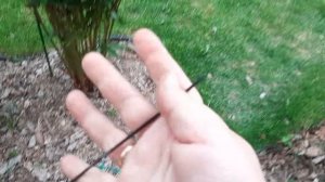 Лучшие простые опоры для пионов!