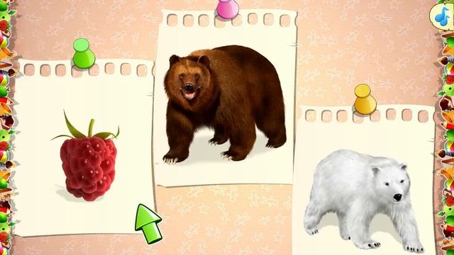 Игра "Найди лишний". The game "Find an object, which does not belong here" смотреть онлайн