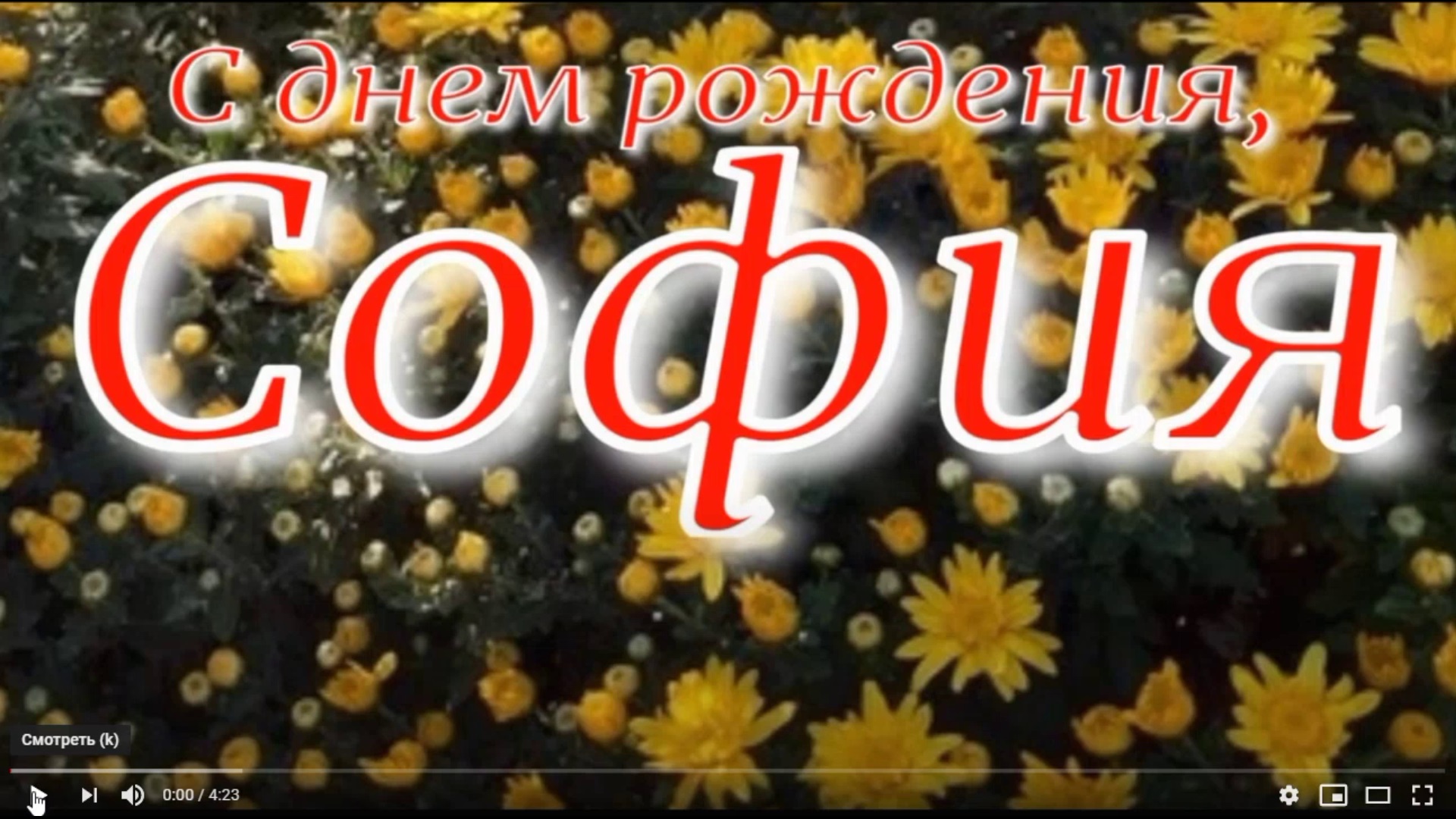 СОФИЯ, С ДНЕМ РОЖДЕНИЯ смотреть онлайн