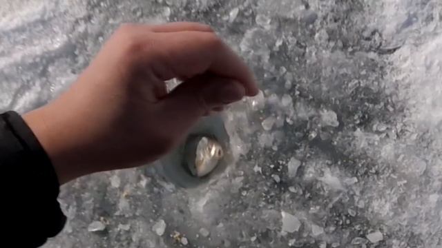 Ловля на чёртика. Лещ. Самаркандское водохранилище 25 02 2018 смотреть онлайн