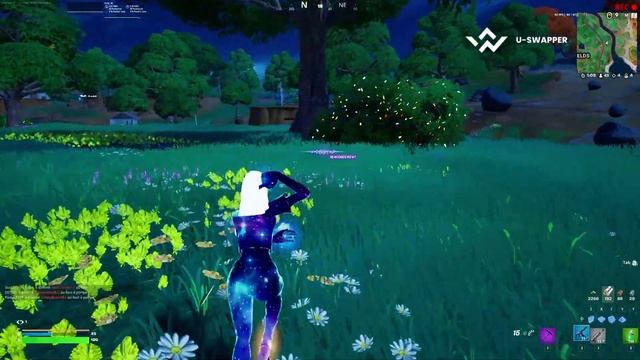 OPALINE GALAXY FORTNITE CHAPTER 4 2023 (GAMEPLAY) | NO KICK (WORKS IN GAME) смотреть онлайн