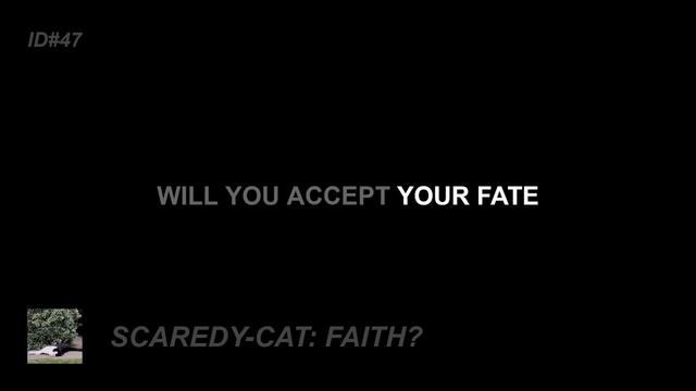 SCAREDY-CAT | FULL ALBUM & LYRICS