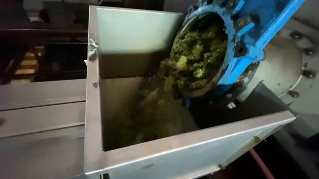 Переработка винограда сорт Шардоне 2020