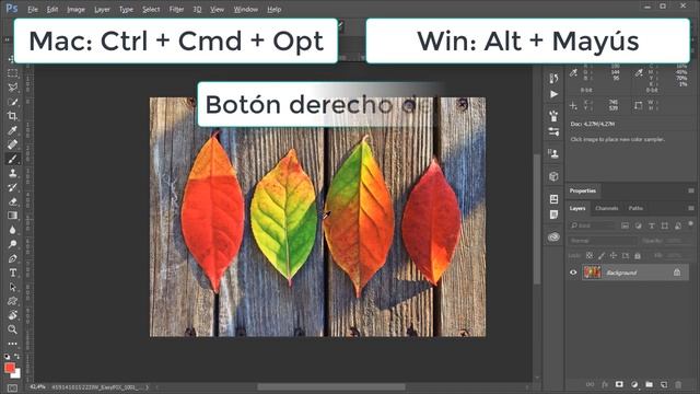 Cómo usar el selector de color HUD en Photoshop смотреть онлайн