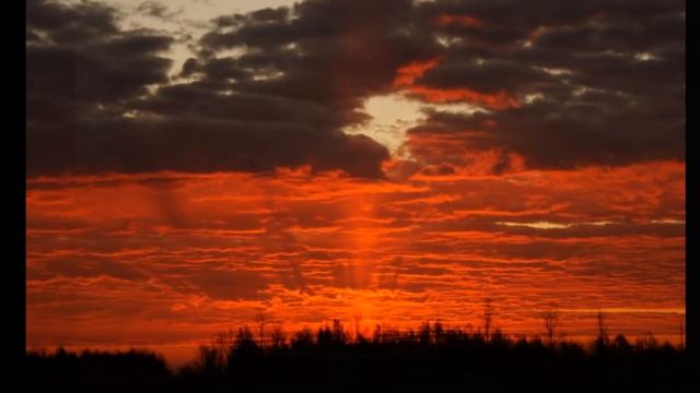 ARMIK-LIBRE. смотреть онлайн