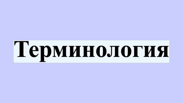 Терминология смотреть онлайн