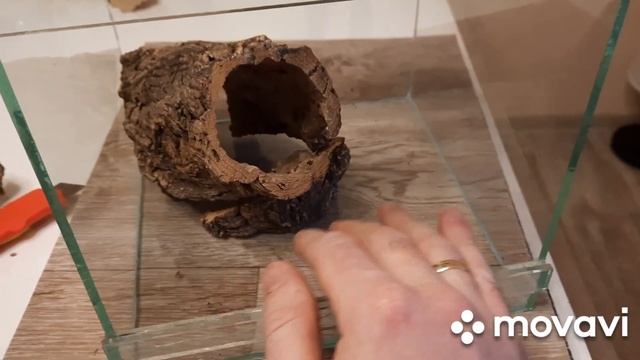 Оформление террариума для паука-птицееда. Tarantulas enclosure build. #террариум смотреть онлайн
