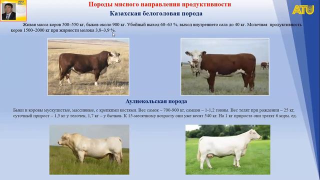 Лекция №9. Скотоводство Жумадиллаев Н.К смотреть онлайн