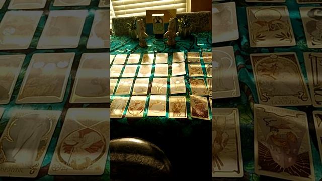 ?No Equal Partner Found Yet?, January 29, 2020, Tarot Reading смотреть онлайн