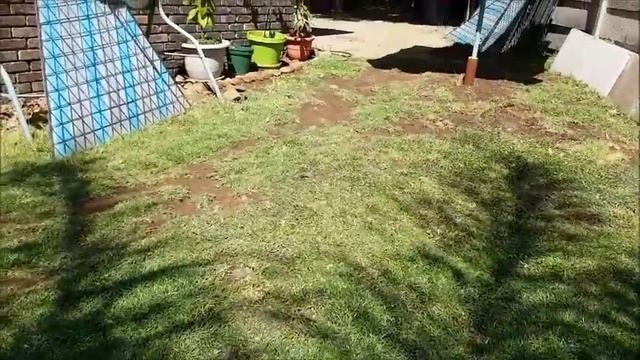 Tanaka Weed eater start & Murray cut lawn смотреть онлайн