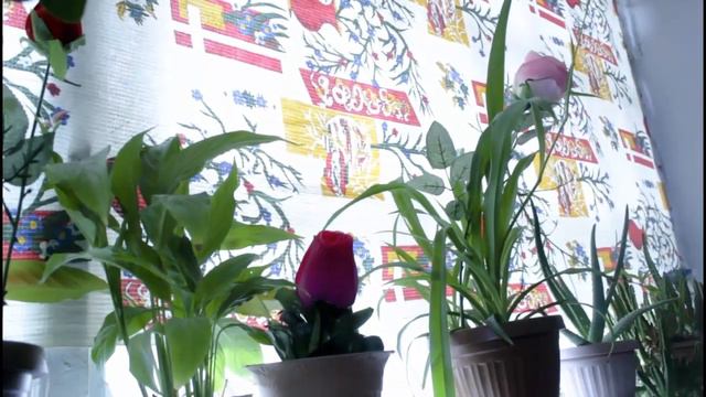 #Житиё_Моё #VLOG 7-8 июня продолжаем ремонт готовим Каурдак Бешпармак