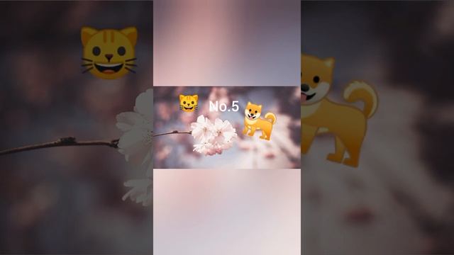 Что делать если скучно или грустно?Я дам вам ответ! смотреть онлайн