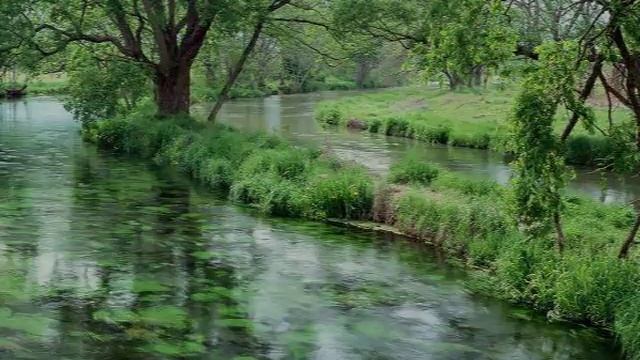 ЛЮБОВЬ К РОДИНЕ смотреть онлайн