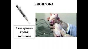 Лекция 19-1.
Леч_Пед.
Гемостаз, часть 1.