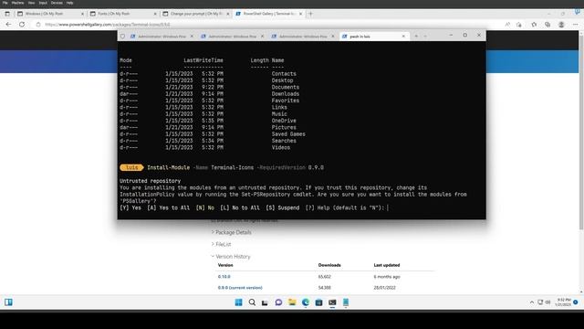 Cómo Personalizar Windows Terminal con Oh My Posh смотреть онлайн
