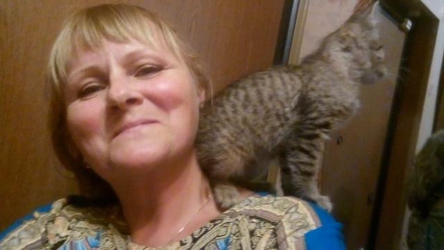 Кошковлог. Воспитание кота Фантика дворянской породы. смотреть онлайн