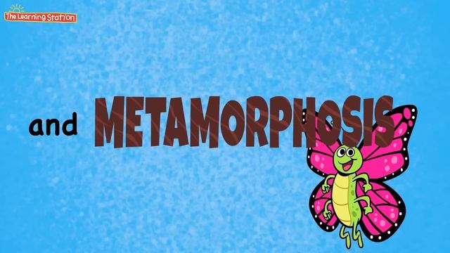 Science Song for Kids with Lyrics - Children’s Learning Songs by The Learning Station смотреть онлайн