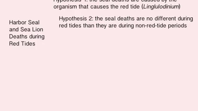 Scientific Method Example 2 смотреть онлайн